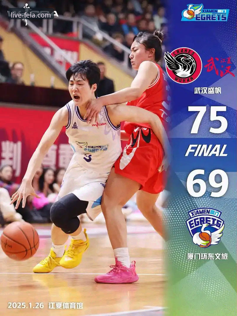 飞亚体育手机版观赛体验深度评测：一场创纪录的WCBA总决赛如何被完美呈现