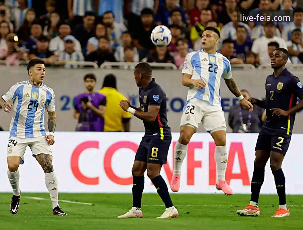 飞亚体育手机版 阿根廷世界杯前再损大将,飞亚体育平台聚焦帕尼切利伤退最新消息